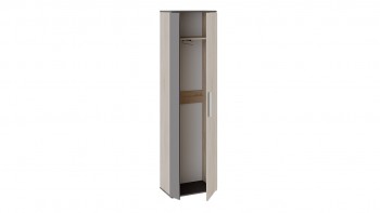 Шкаф для одежды «Нуар» тип 1 Фон серый/Дуб сонома в Бородино - borodino.mebel54.com | фото