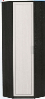 Шкаф для одежды угловой ДЛЯ ГОСТИНОЙ ШОУ-695 Венге/Дуб выбеленный в Бородино - borodino.mebel54.com | фото